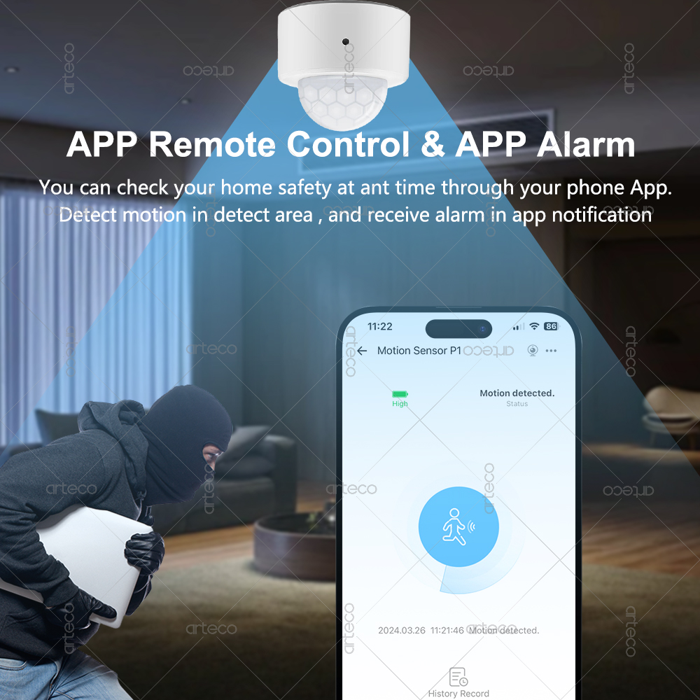 Ewelink Zigbee PIR モーションセンサー人体 - Pir Motion Sensor のレビューと価格